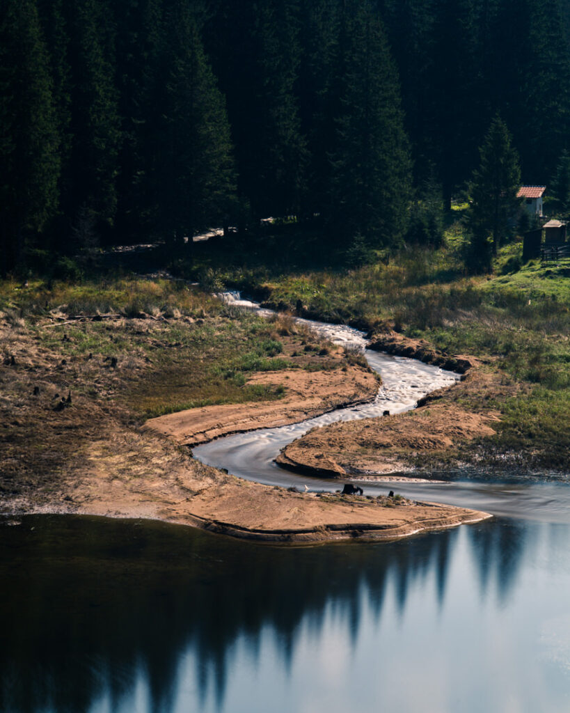Linie des Waldes mit Flusszulauf